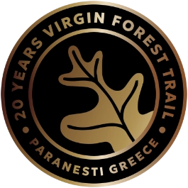 VFT
